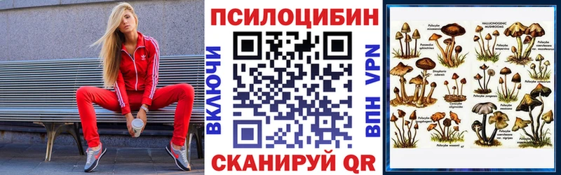 Купить закладки  Пролетарск  Галлюциногенные грибы мицелий 